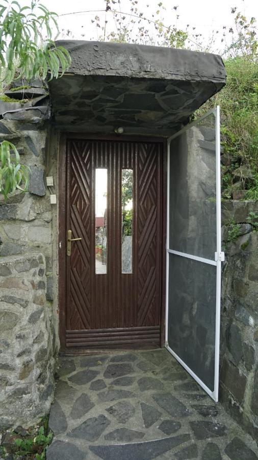 Casa Cu Fantana Villa Borlesti Ngoại thất bức ảnh