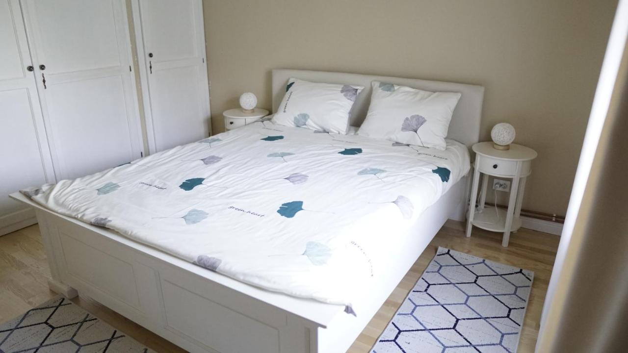 Casa Cu Fantana Villa Borlesti Ngoại thất bức ảnh