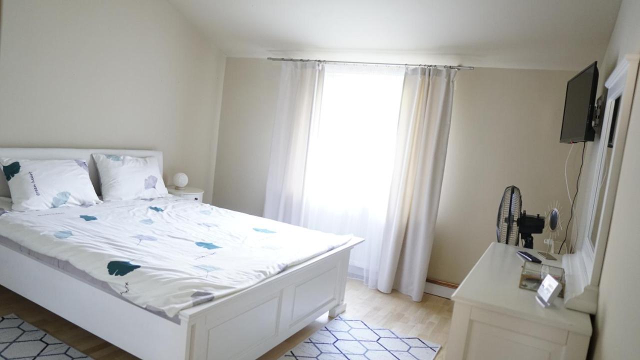 Casa Cu Fantana Villa Borlesti Ngoại thất bức ảnh